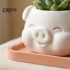 Succulents Planter Pot 3D Printed Pig Shaped Flowerpot, Decorative for Herb Petg Plants, Animal Mini Flower Holder Indoor Outdoor Small Desktop