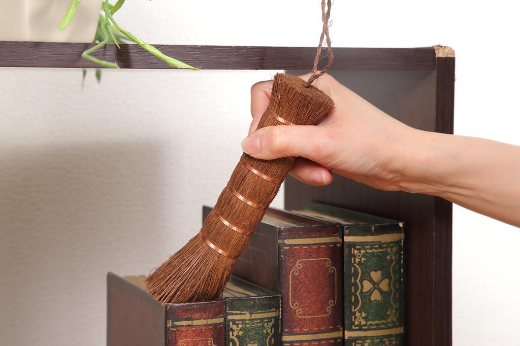 Arrowhead Palm Scrub