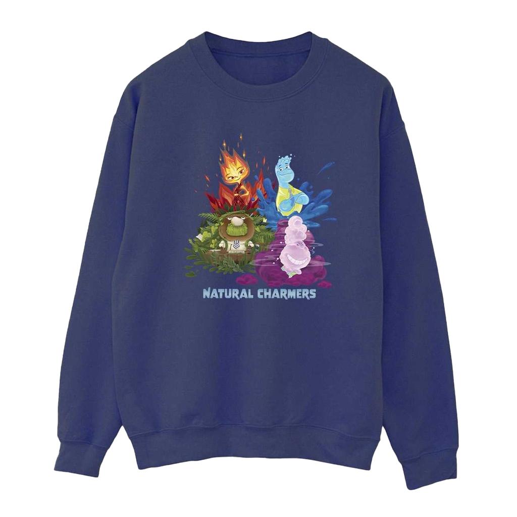 Elemental Womens/Ladies Natural Charmers Sweatshirt