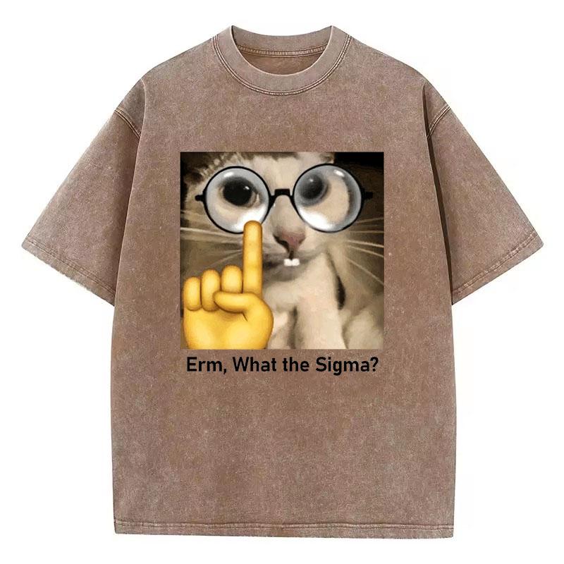 Funny Meme Cat T Shirt Vintage Washed Cotton T-Shirt  Graphic Tee Casual Streetwear Spring Summer Fall Top Tee