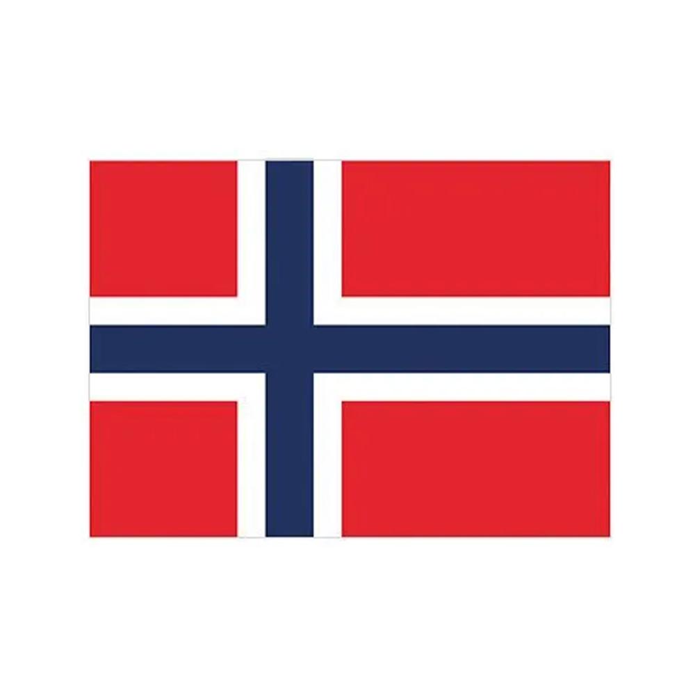 Printwear Polyester Norway Flag
