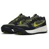 Nike ACG Lowcate Cargo Khaki Cactus Men Sneakers Green Black Bright-Cactus DM8019-300