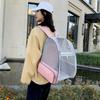 Breathable Pet Backpack Going Out Backpack Cat Bag Simple Travel Large Capacity Cat Bag