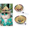 Summer Pet Visors Hat Cute Mexico Style Hat for Dogs Cat Dress Up Supplies Lovely Carnivals Outdoor Hat Pet Accessory