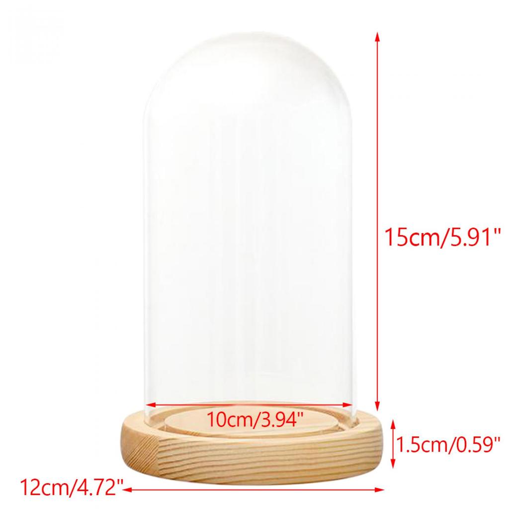 Clear Glass Display Dome with LED Wood Base Microlandscape Holder Glass Cover for Birthday Gift Bedroom Home Decoration