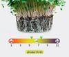 Organic Nutrient Soil Blend for Vegetables and Fruits - Ideal for Rice, Watermelon, and Strawberries