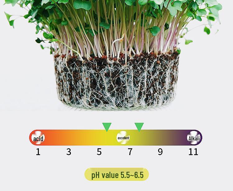 Organic Nutrient Soil Blend for Vegetables and Fruits - Ideal for Rice, Watermelon, and Strawberries