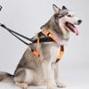 Winter Sports Harness For Large Dogs Adjustable Reflective Strap Comfortable Padding Outdoor Use