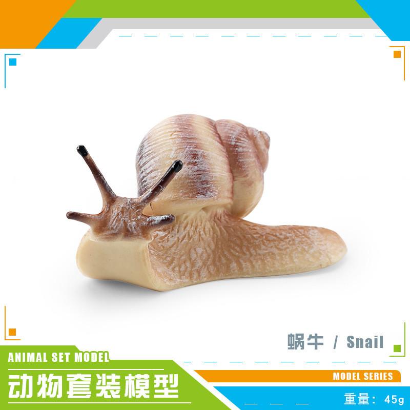 Realistic Forest Animal Models Set Including Hamster Snail Sugar Glider Mouse Meerkat Anteater For Kids Educational Playtime Fun