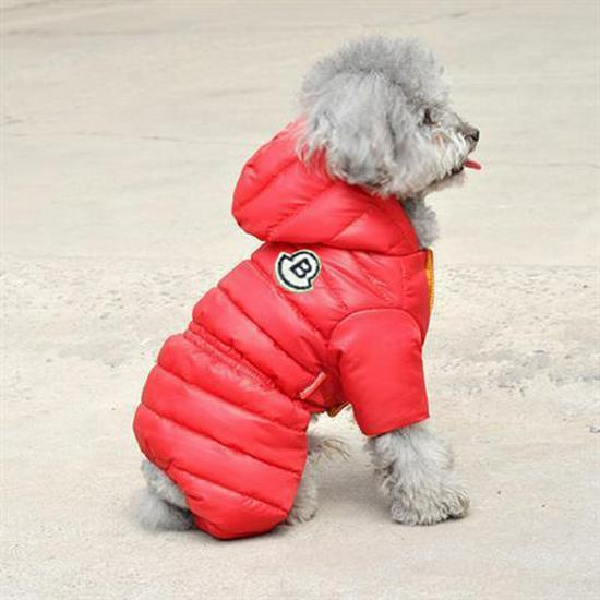 British Style Waterproof Cotton Coat for Small Dogs - Warm Four-Legged Winter Clothing for Pomeranians and Teddy Breeds
