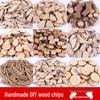 Wood Chips & Tree Slices DIY Craft Kit for Kids