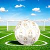 1pc Floral Cat Portrait Size 5 Soccer Ball Professional Match Training Football Indoor &Outdoor Sports Ball Lightweight Durable C6590