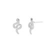 Earrings, Personalized Stainless Steel Earrings, Exaggerated Fashion Zodiac Snake Stud Earrings