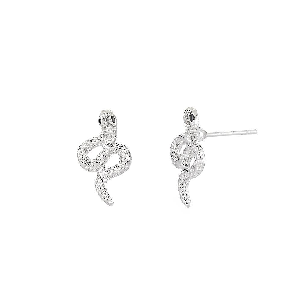 Earrings, Personalized Stainless Steel Earrings, Exaggerated Fashion Zodiac Snake Stud Earrings