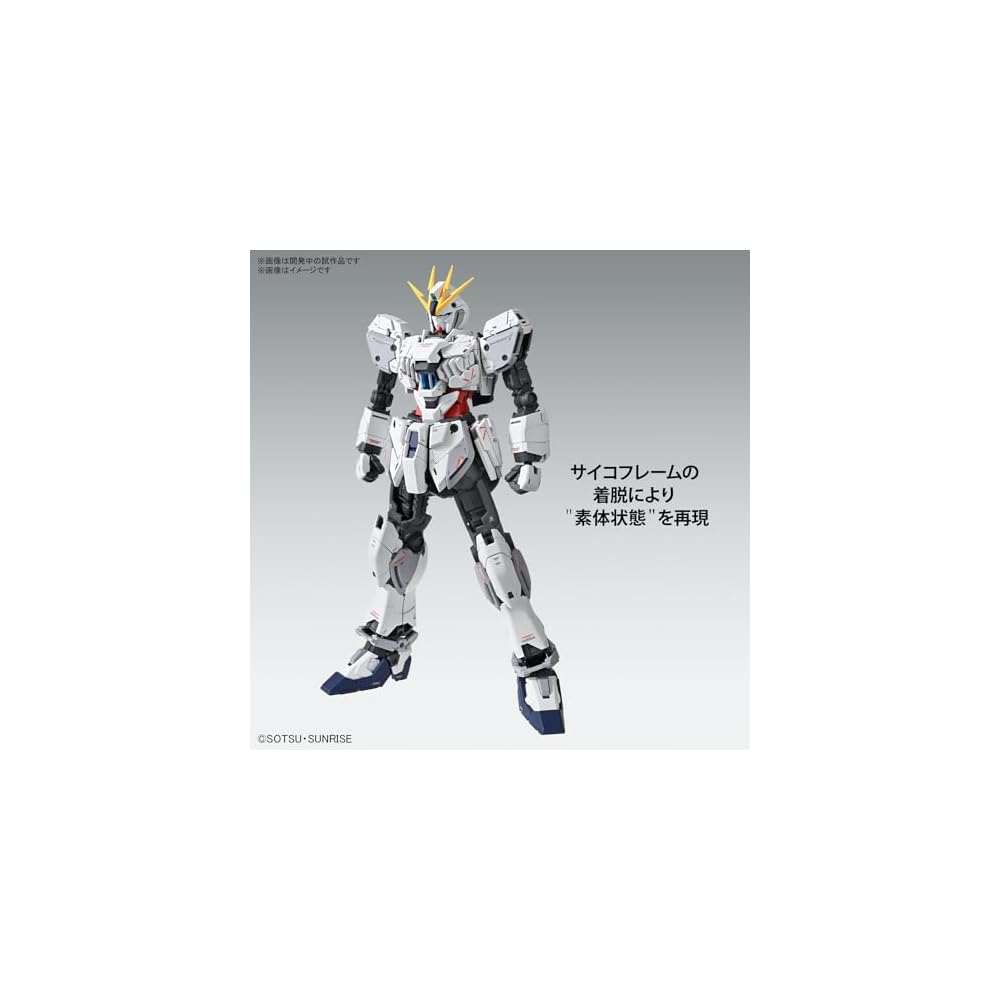MG Mobile Suit Gundam NT Narrative Gundam C-Equipment Ver.Ka 1/100 Scale Color-Separated Plastic Model