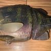 Used bull shooter jr 10th anniversary depth