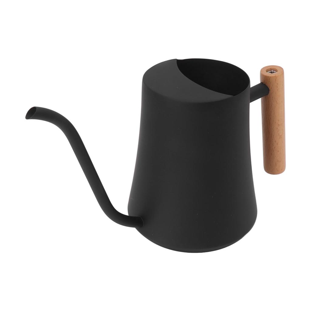 Stainless Steel Watering Can Pot Retro Small Plant Watering Can with Wooden Handle for Indoor Outdoor 1000ML