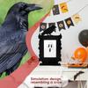 Gothic Raven Shadow Photo Frame Macabre Halloween Wall Art Painting Frame Haunted House Ornament for Mantel Entryway