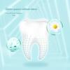 Nice Cool Ice Chrysanthemum Toothpaste