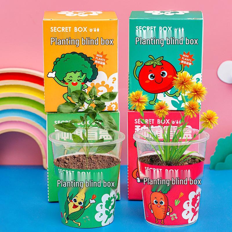 Surprise Box Potted Plant Gift for Kids - Perfect for School Rewards, Graduations, and Birthdays