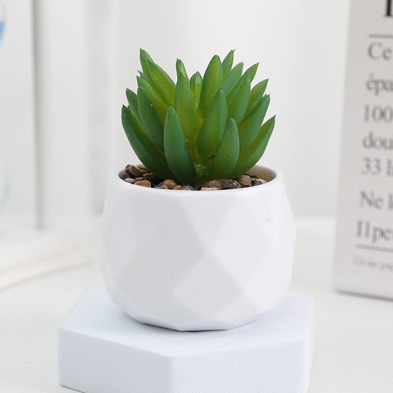 Diamond Succulent Set: Desktop Potted Ornament Decor