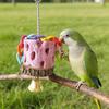 Bird Chewing Toy with Bells Natural Volcanic Stone Zanthoxylum Bungeanum Parrot Cage Toy Oral Health Bird