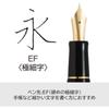 PILOT Custom 74 EF Extra Fine (Ultra Fine) Deep Red Black FKKN12SRDREF Tip 14K Pilot
