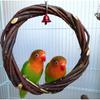 Papageienspielzeug Ring, Vogelschaukel, Apfelzweig geflochtener Ring, Vogelständer, Rattanring, Nagespielzeug Vogelkäfig