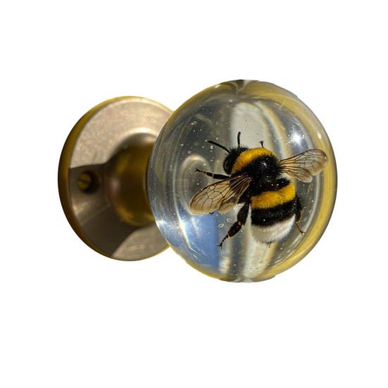 

Декоративная дверная ручка, высокая прочность, простая установка, вдохновленная природой, прозрачная дверная ручка для шкафа A