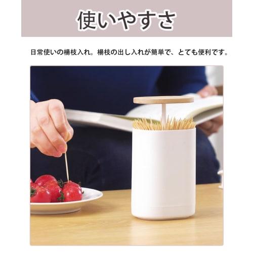 AnnTec Toothpick Organizer, Push-Type Toothpick Holder, Cotton Swab Organizer, Hygienic Use, One-Push Pop-Up Organizer, Large Capacity, Pop-Up Toothpi