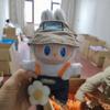 Wild Labubu Plush Figure Blind Box by Pop Mart (Fast Shipping)