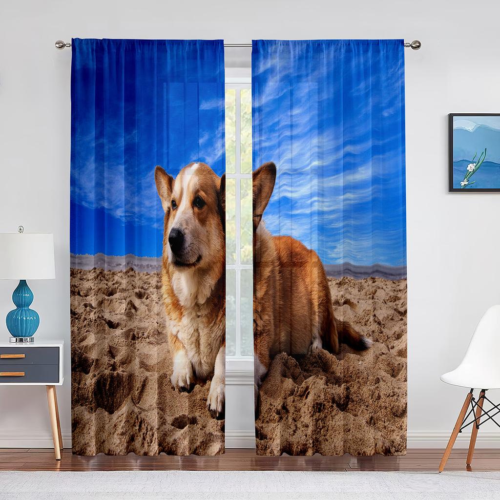 Corgi In The Flower Field Puppy Dog Sheer Curtains Window Treatment for Kitchen Living Room Bedroom Decor Modern Tulle Curtains