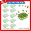 1/3/5/10Pcs Hydroponic Microgreens Sprouter Tray Seed Sprouting Plates Wheatgrass Grower Nursery Trays Home Garden Tools