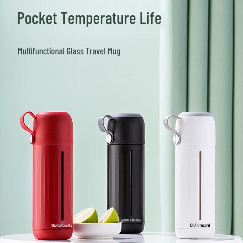 Portable Borosilicate Glass Tea & Water Bottle