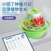 Space Planting Cabin Children's Scientific Experiment Suit Vegetable Plant Growth Hydroponic Greenhouse Cultivation Toys