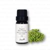 Aster Aroma - Bio ätherisches Öl