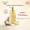 Pengpai Ginger Strengthening & Volumizing Shampoo
