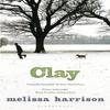Clay by Melissa Harrison Paperback Book 9781408842553
