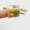 Fish Tank Toy Miniature Ornaments Resin Dollhouse Fish Tank Scene Accessories for Girls