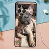 French Bulldog For Samsung Galaxy M31 M11 M23 M12 M13 M14 M15 M35 M55 M34 M54 M33 M53 M32 M52 M06 M16 Case