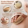 Handheld Bathroom Shower Brush Dry Brushing Body Brush for The Back Dry Body Exfoliating Brush Back Bath Massage Cellulite Brush