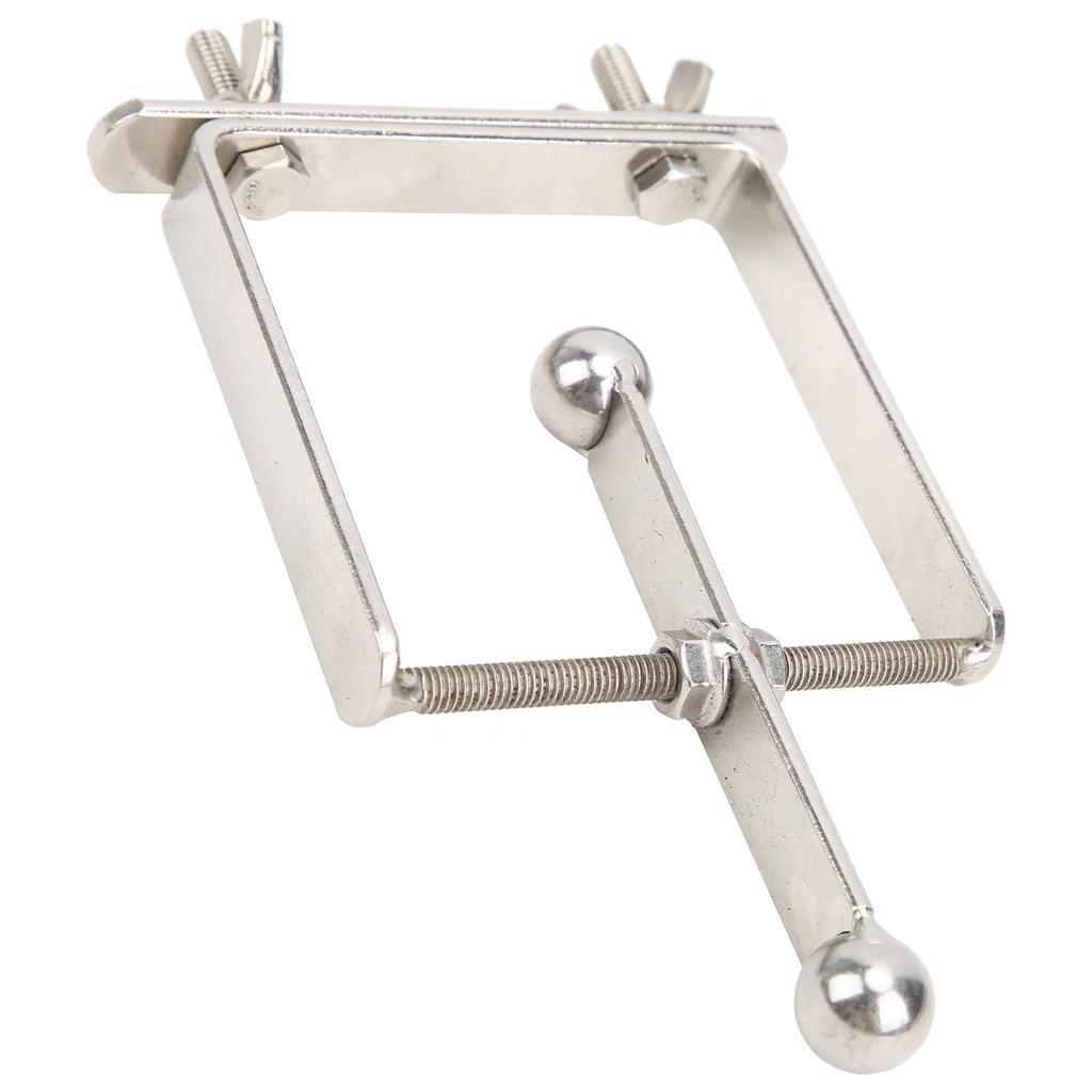 Bird Spinner Toy Stainless Steel Parrot Spinning Toy for Chewing Training and Improving Intelligence