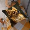 Double Sided Modern Chihuahua Dog Print Soft Throw Pillow Cover For Home Living Room And Sofa Bedroom Decoration