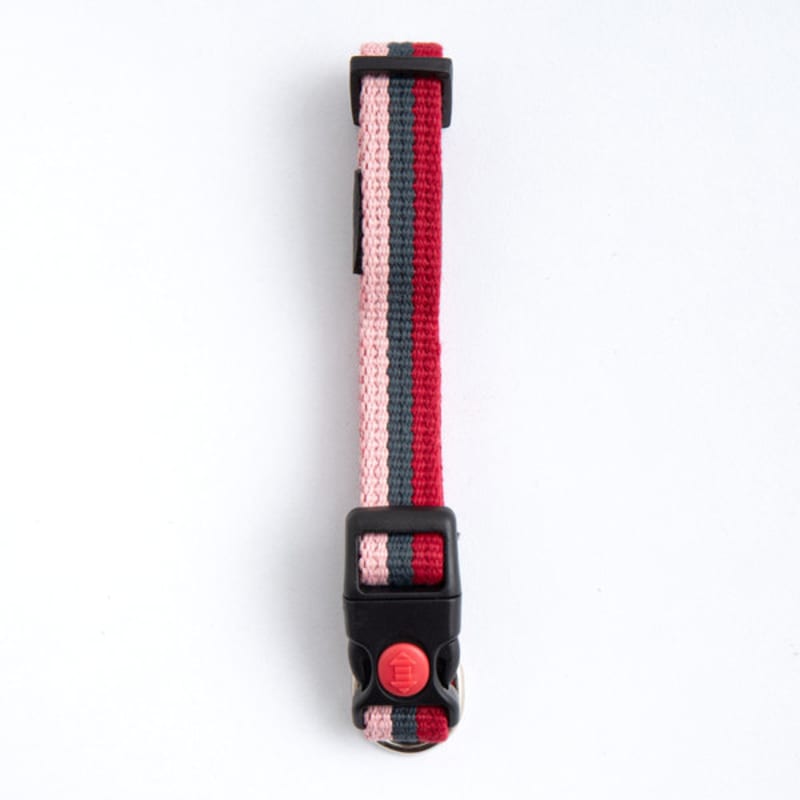 [Pet] Tri-Color Leash 1.5 Cm