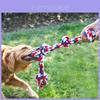 Cães – Brinquedos para cães
