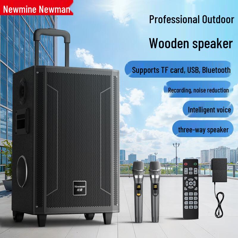 Newsmy N537 12-inch Portable KTV Bluetooth Speaker CN plug (adapter included)