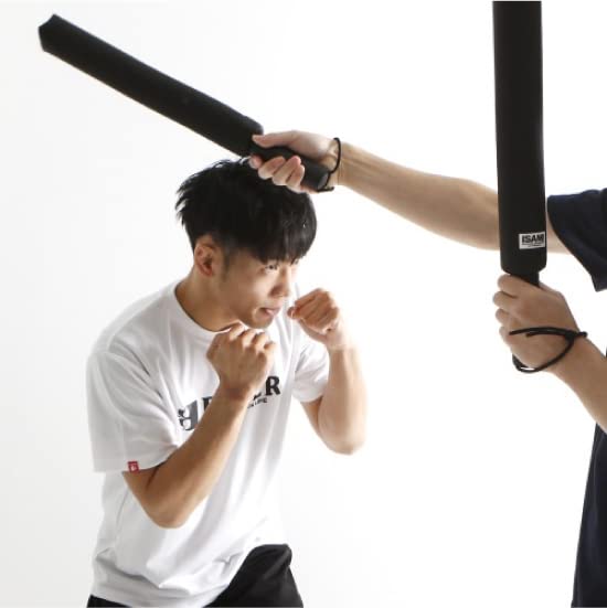 Isami Stick Mitts for Martial and SS-800 Arts, Karate, Kickboxing, All-Terrain