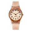 Trendige Koreanischer Stil Jelly Farbe Silikon Damen Uhr - Niedliche, Bunte und Transparente Quarz Armbanduhr