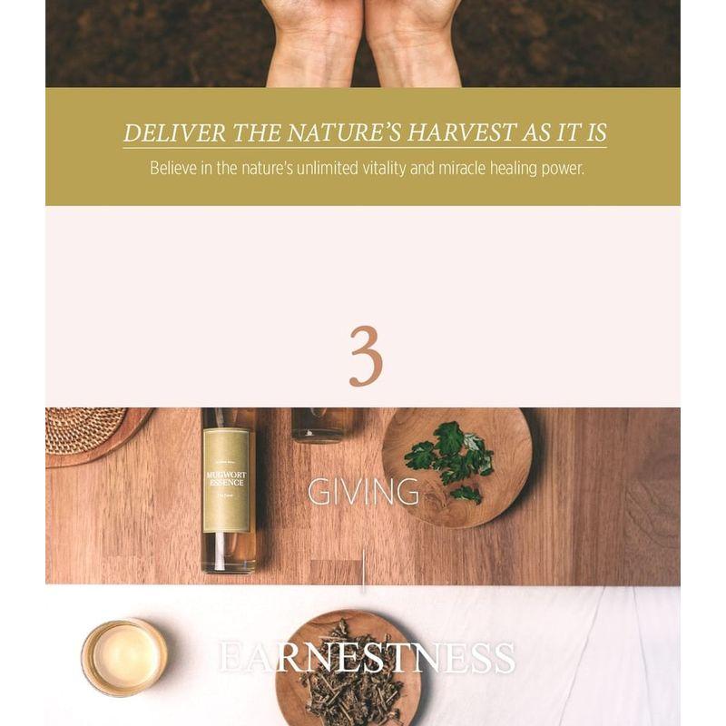 I'm from - Mugwort Mask Bundle Set