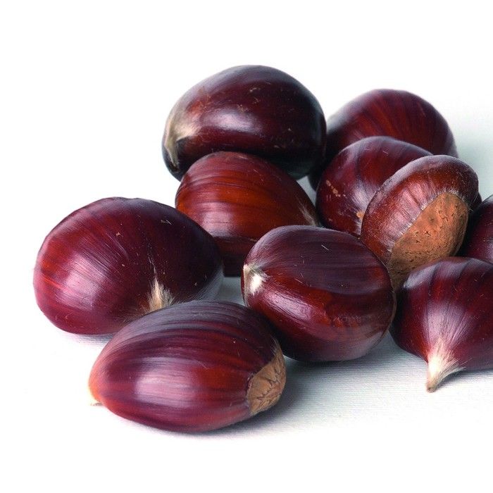 Ibili 8411922451948 Éplucheur de châtaignes, разноцветный, уникальный хвост, нейлон